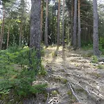 Byalo
